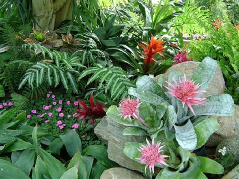  Flores para um Jardim: Un Viaje Sensorial por la Horticultura Brasileña